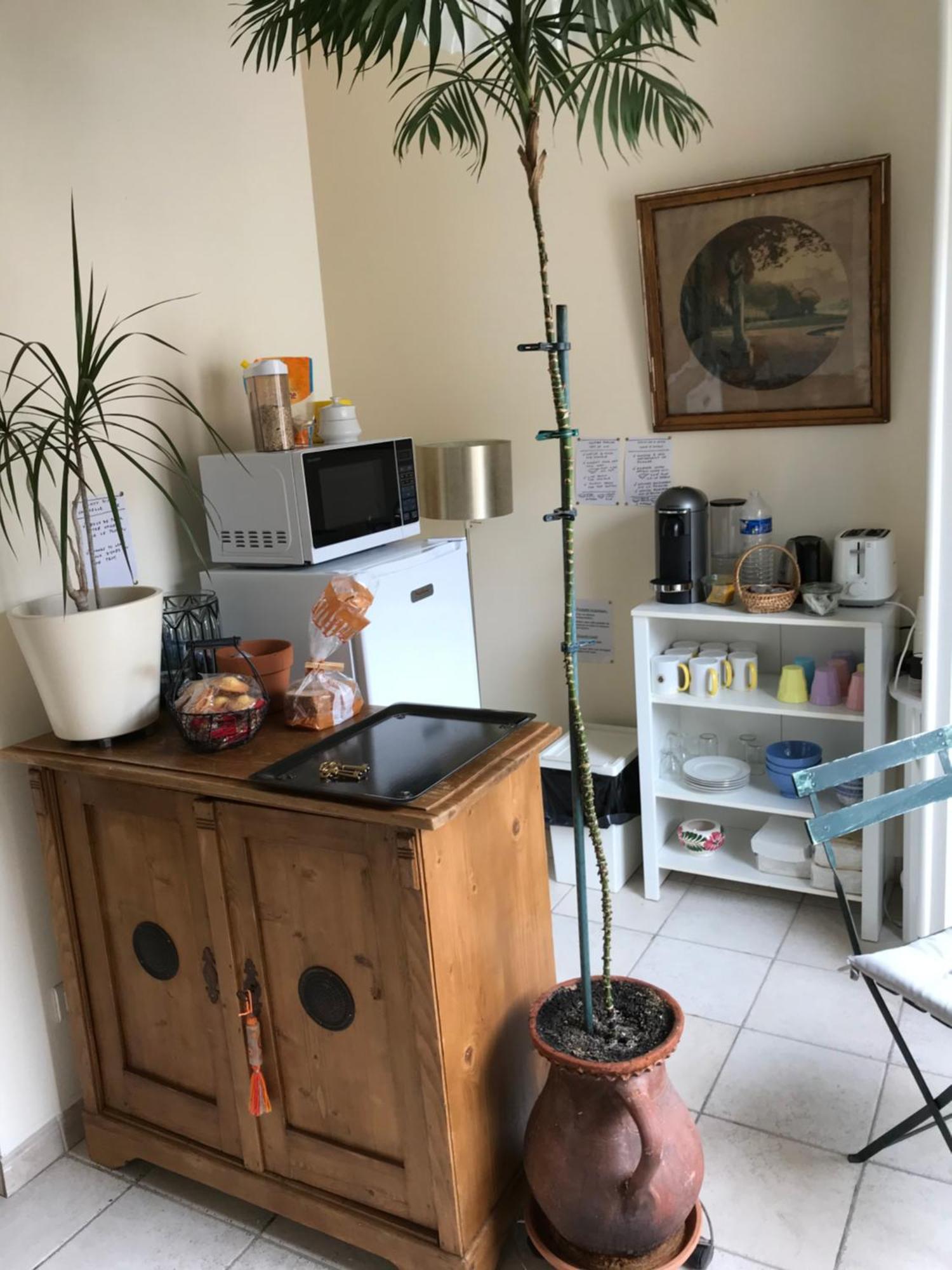 Chambre Japonaise Montpellier Extérieur photo